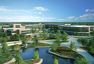 Corporate Landscaping Companies