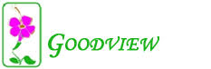 Goodview.logo