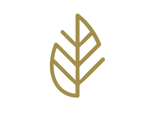 Sage Medical.Icon