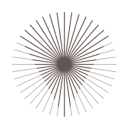 Veritas.icon