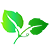 kenlandscape.icon