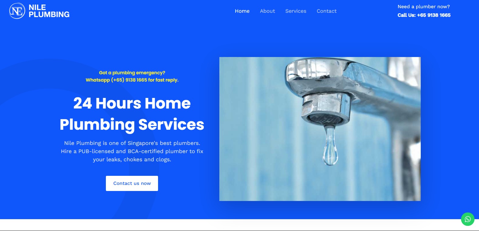 Nile Plumbing