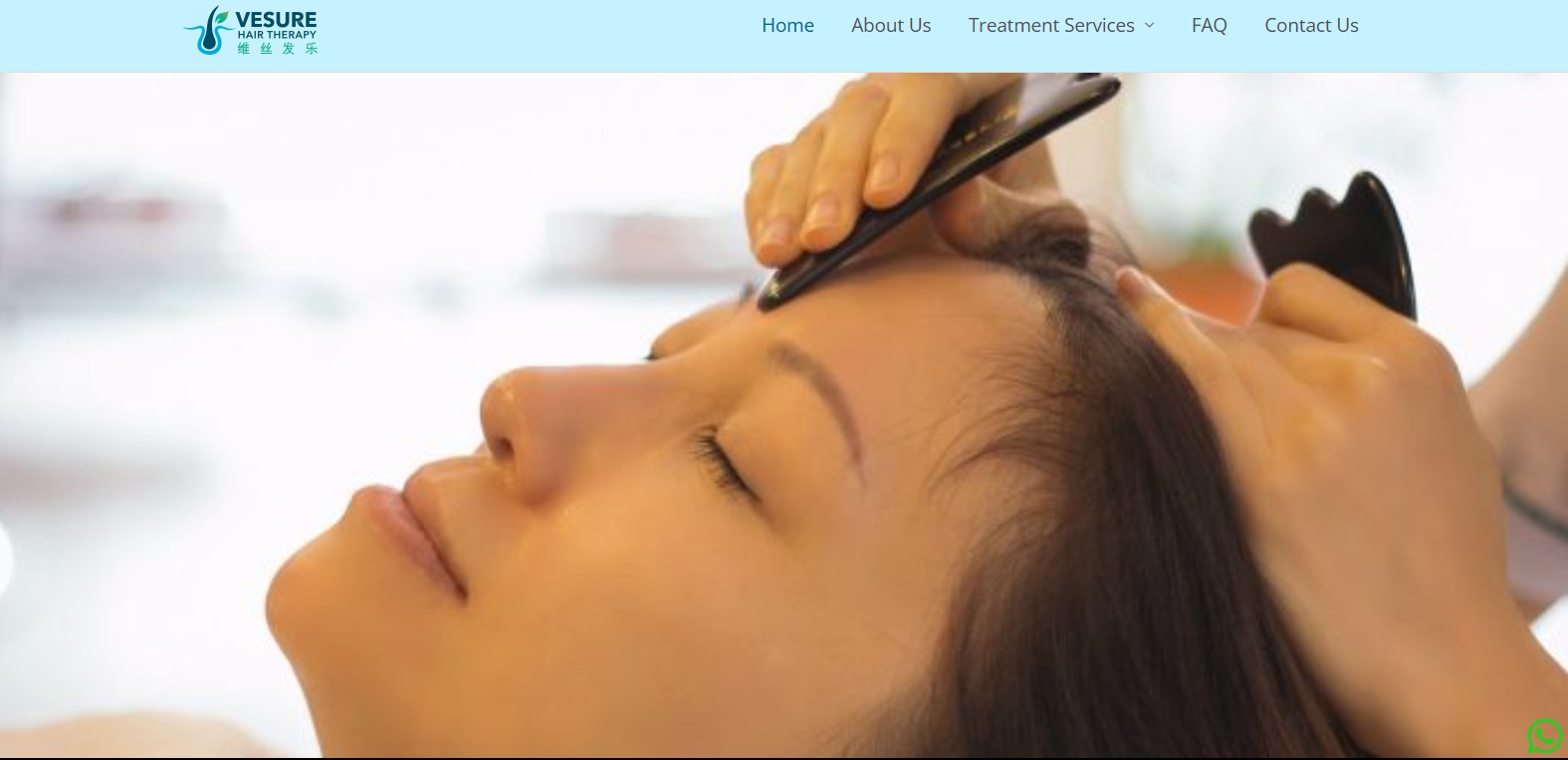 VESURE Hair Therapy
