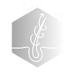 trichomd.logo