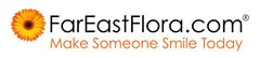 FEF-logo