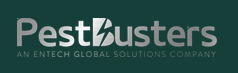 PestBusters.logo