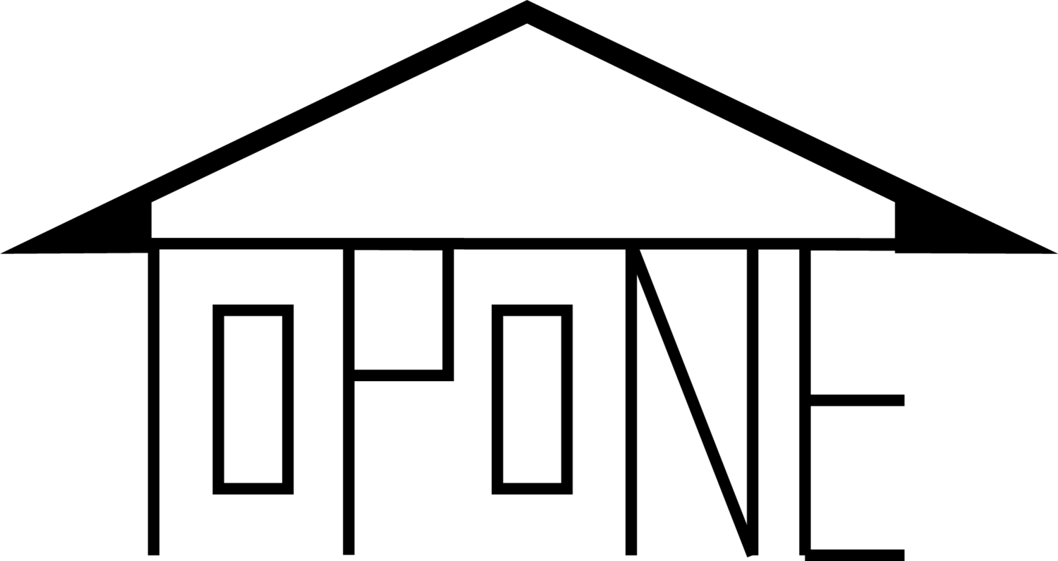 TOPONE.logo