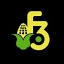f3themepark.icon