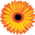 fareastflora.icon