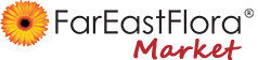 fefm.logo