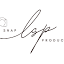 littlesnap.icon