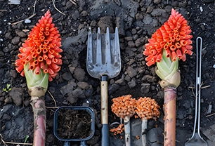 gardening-tools