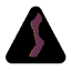 drmarco.icon