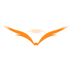 Eagle Eye Favicon