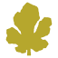 ficomasseria.icon