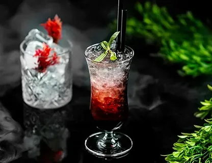 Singapore Cocktail